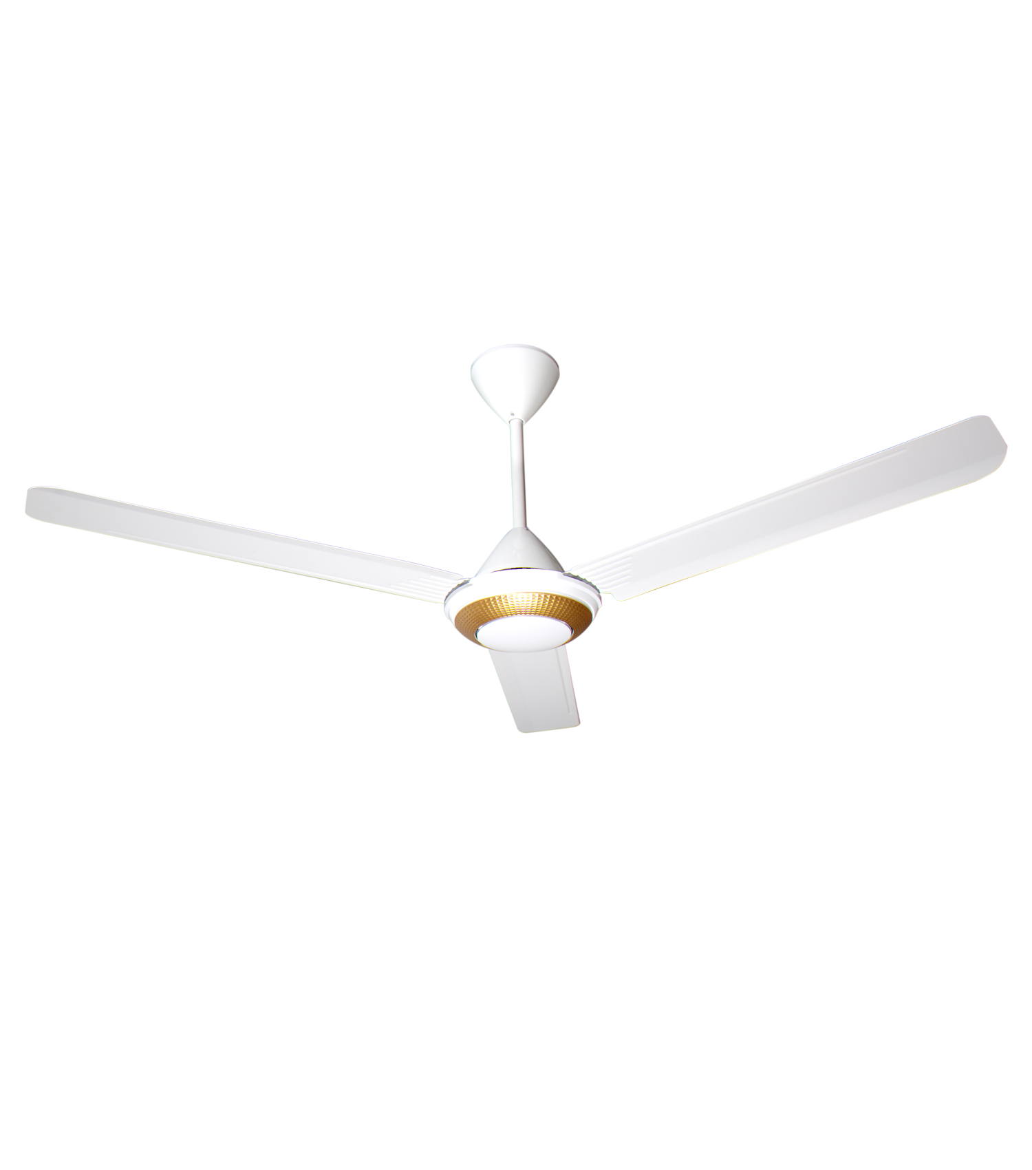 Large Ceiling Fan