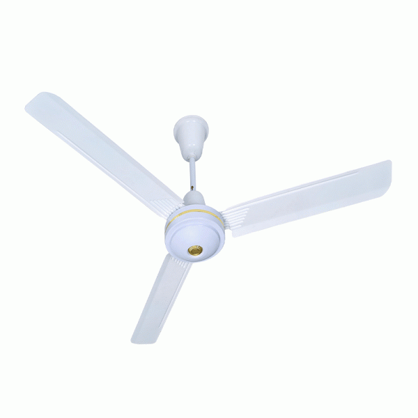 Large Ceiling Fan