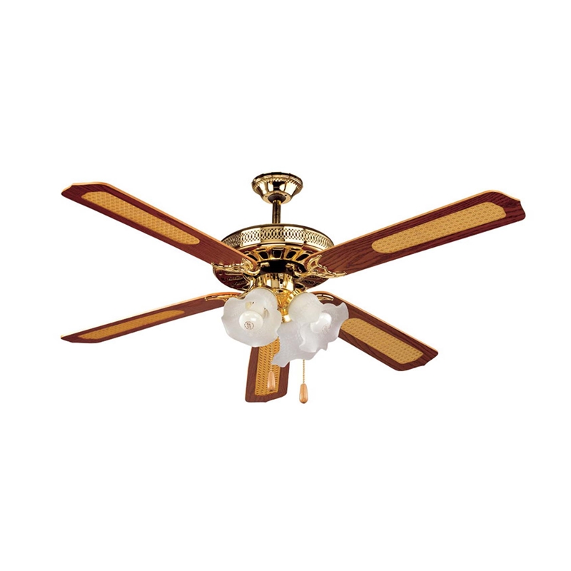 Modern Light Ceiling Fan