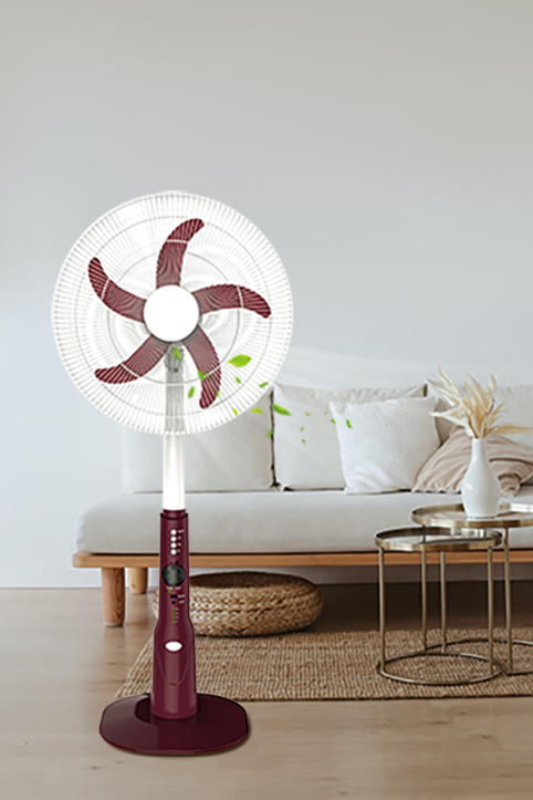 rechargeable fan