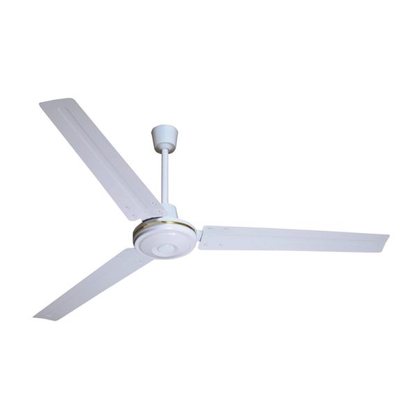 Big Ceiling Fan