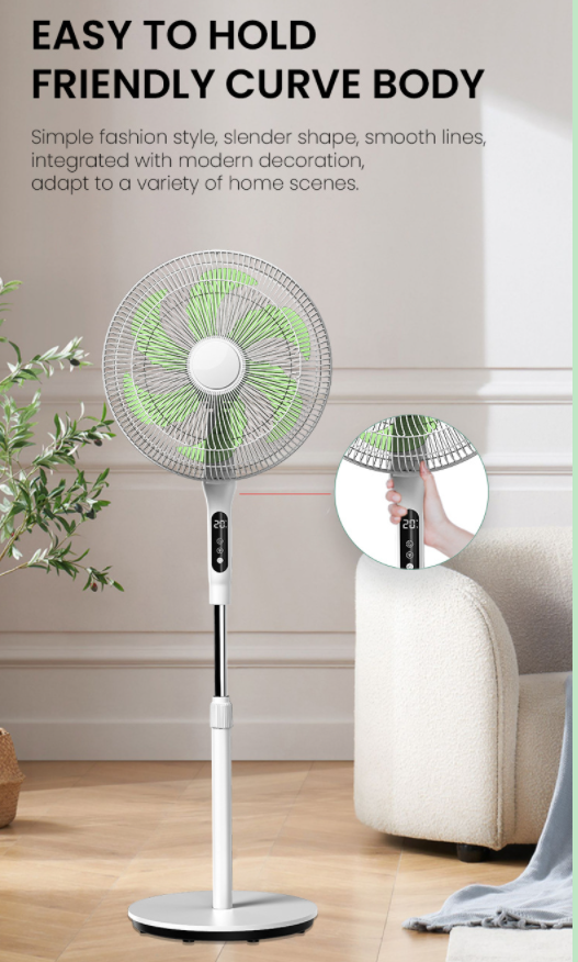 Appearance design of stand fan