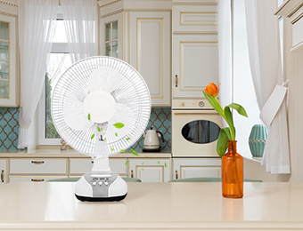 Rechargeable Fan