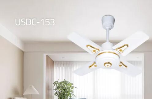 Ceiling fan